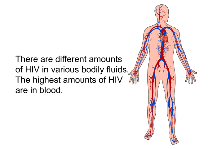 There are different amounts of HIV in various bodily fluids. The highest amounts of HIV are in blood.