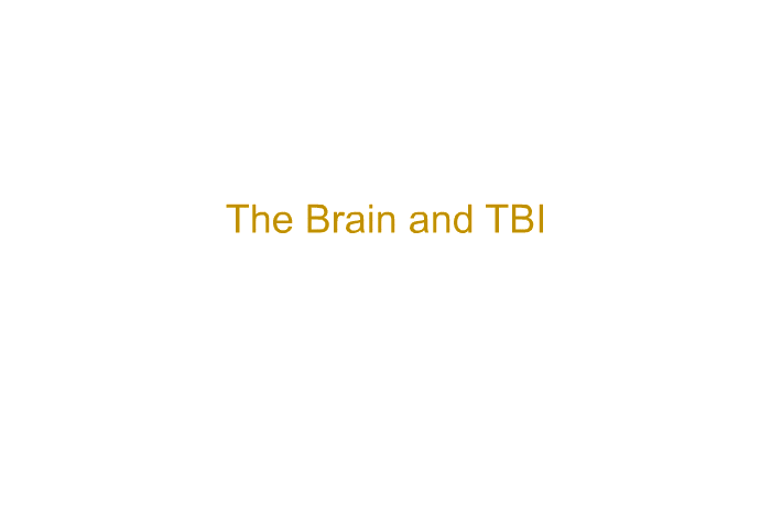 The Brain and TBI