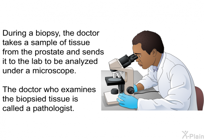 During a biopsy, the doctor takes a sample of tissue from the prostate and sends it to the lab to be analyzed under a microscope. The doctor who examines the biopsied tissue is called a pathologist.