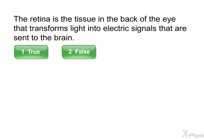 The retina is the tissue in the back of the eye that transforms light into electric signals that are sent to the brain.