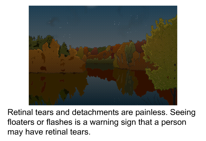 Retinal tears and detachments are painless. Seeing floaters or flashes is a warning sign that a person may have retinal tears.