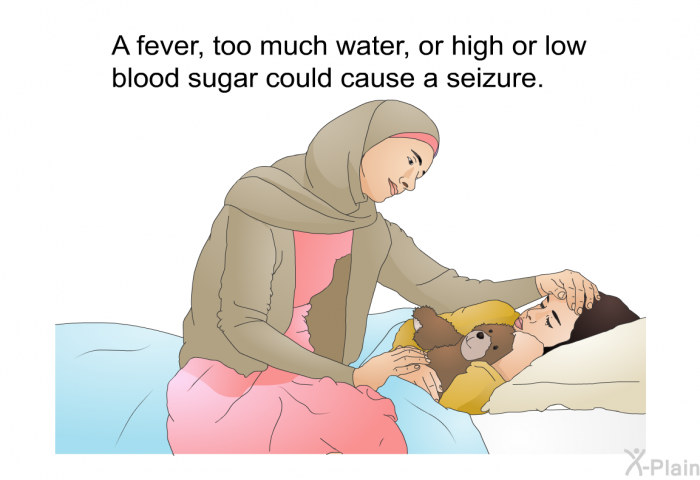 A fever, too much water, or high or low blood sugar could cause a seizure.