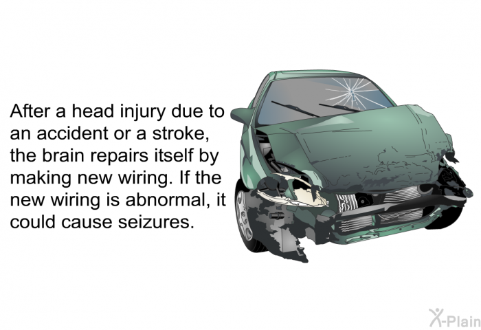 After a head injury due to an accident or a stroke, the brain repairs itself by making new wiring. If the new wiring is abnormal, it could cause seizures.