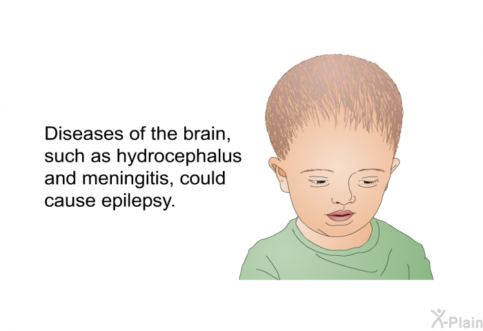 Diseases of the brain, such as hydrocephalus and meningitis, could cause epilepsy.