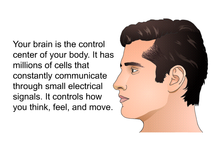Your brain is the control center of your body. It has millions of cells that constantly communicate through small electrical signals. It controls how you think, feel, and move.