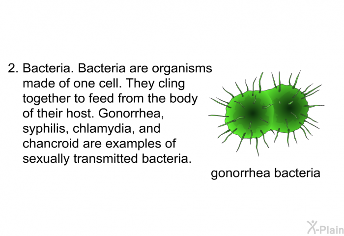 Bacteria. Bacteria are organisms made of one cell. They cling together to feed from the body of their host. Gonorrhea, syphilis, chlamydia, and chancroid are examples of sexually transmitted bacteria.