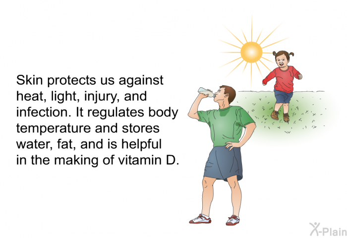 Skin protects us against heat, light, injury, and infection. It regulates body temperature and stores water, fat, and is helpful in the making of vitamin D.