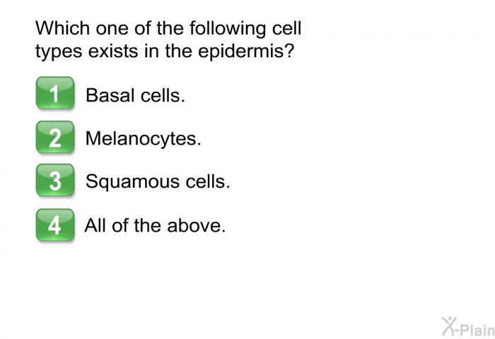Which one of the following cell types exists in the epidermis?  Basal cells Melanocytes Squamous cells All of the above.