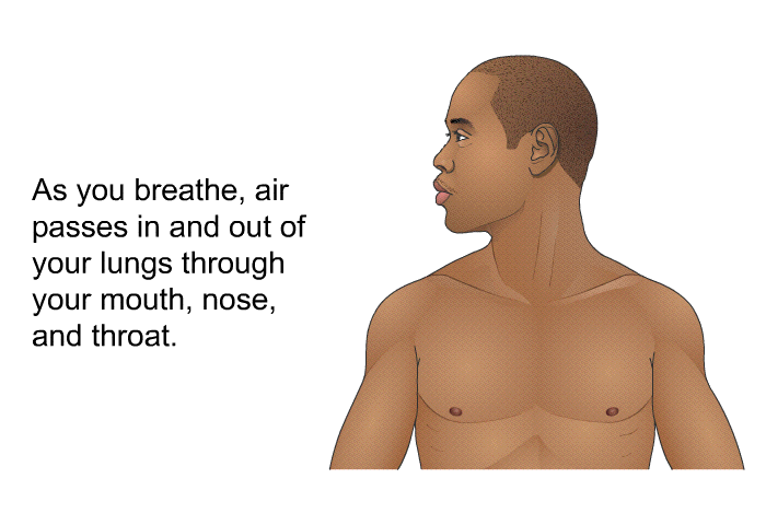 As you breathe, air passes in and out of your lungs through your mouth, nose, and throat.