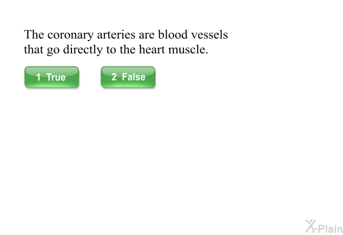 The coronary arteries are blood vessels that go directly to the heart muscle.