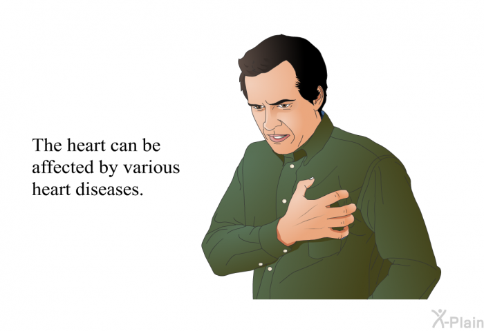 The heart can be affected by various heart diseases.