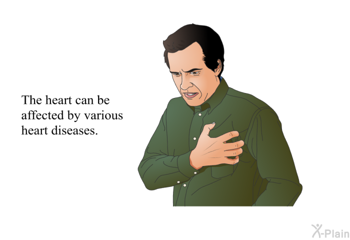 The heart can be affected by various heart diseases.