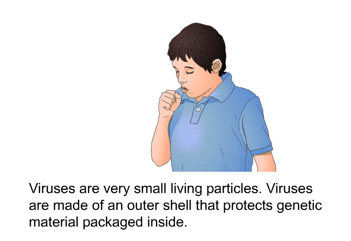 Viruses are very small living particles. Viruses are made of an outer shell that protects genetic material packaged inside.