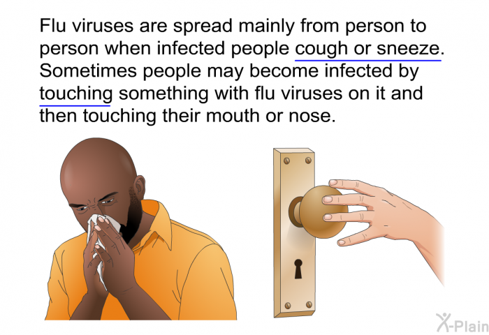 Flu viruses are spread mainly from person to person when infected people cough or sneeze. Sometimes people may become infected by touching something with flu viruses on it and then touching their mouth or nose.