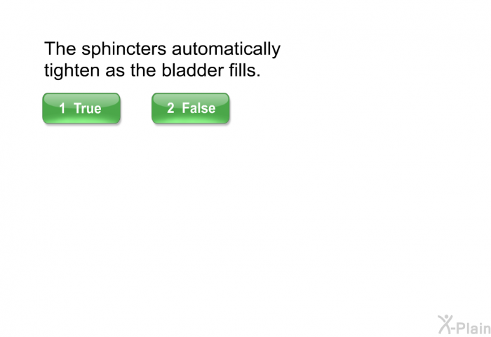 The sphincters automatically tighten as the bladder fills.