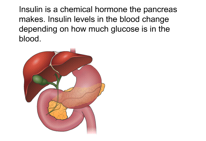 Insulin is a chemical hormone the pancreas makes. Insulin levels in the blood change depending on how much glucose is in the blood.
