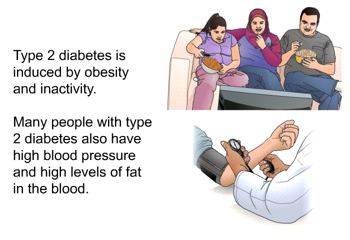 Type 2 diabetes is induced by obesity and inactivity. Many people with type 2 diabetes also have high blood pressure and high levels of fat in the blood.