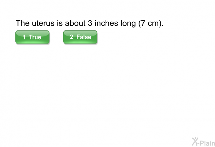 The uterus is about 3 inches long (7 cm).