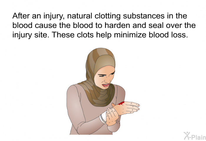 After an injury, natural clotting substances in the blood cause the blood to harden and seal over the injury site. These clots help minimize blood loss.