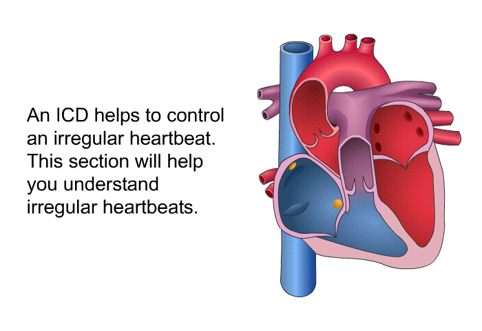 An ICD helps to control an irregular heartbeat. This section will help you understand irregular heartbeats.