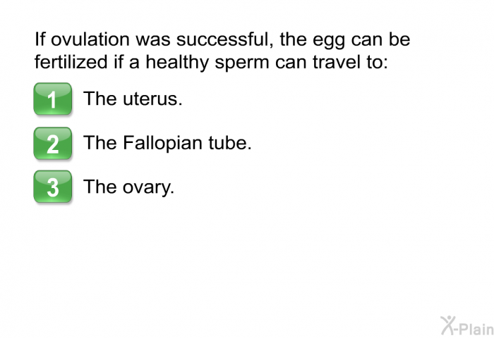 If ovulation was successful, the egg can be fertilized if a healthy sperm can travel to:  The uterus. The Fallopian tube. The ovary.