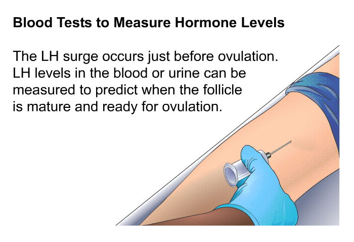 Blood Tests to Measure Hormone Levels The LH surge occurs just before ovulation. LH levels in the blood or urine can be measured to predict when the follicle is mature and ready for ovulation.