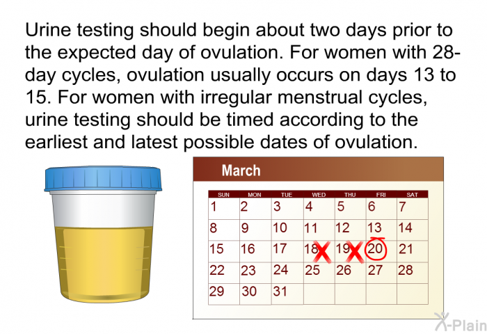 Urine testing should begin about two days prior to the expected day of ovulation. For women with 28-day cycles, ovulation usually occurs on days 13 to 15. For women with irregular menstrual cycles, urine testing should be timed according to the earliest and latest possible dates of ovulation.
