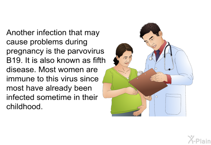 Another infection that may cause problems during pregnancy is the parvovirus B19. It is also known as fifth disease. Most women are immune to this virus since most have already been infected sometime in their childhood.