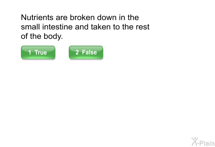 Nutrients are broken down in the small intestine and taken to the rest of the body.