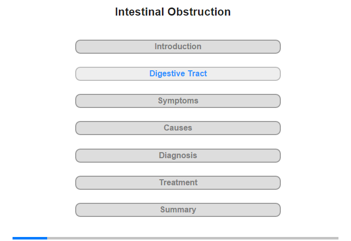 The Digestive Tract