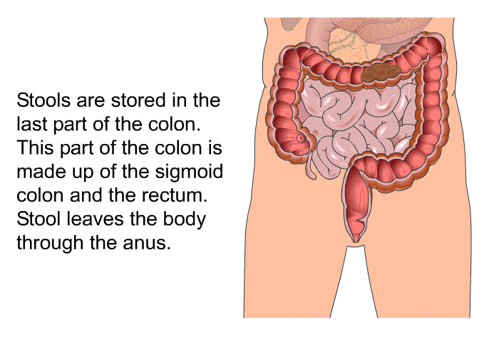 PatEdu Intestinal Obstruction