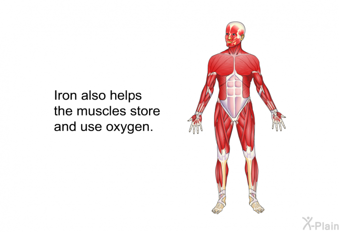 Iron also helps the muscles store and use oxygen.