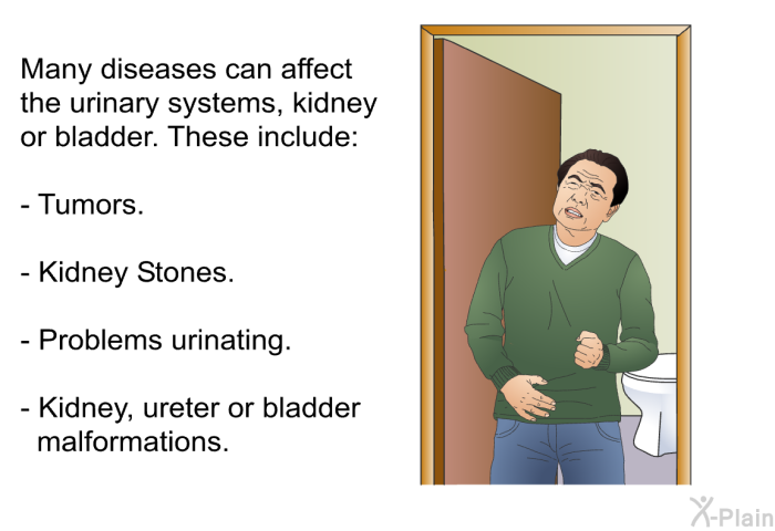 Many diseases can affect the urinary systems, kidney or bladder. These include:  Tumors. Kidney Stones. Problems urinating. Kidney, ureter or bladder malformations.