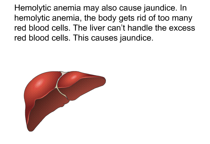Hemolytic anemia may also cause jaundice. In hemolytic anemia, the body gets rid of too many red blood cells. The liver can't handle the excess red blood cells. This causes jaundice.