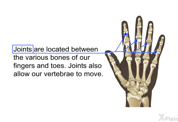 Joints are located between the various bones of our fingers and toes. Joints also allow our vertebrae to move.