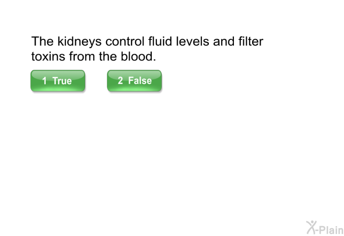The kidneys control fluid levels and filter toxins from the blood.