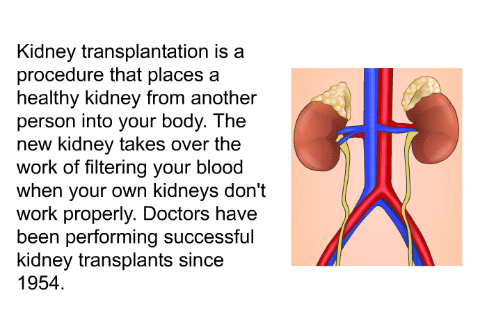 Kidney transplantation is a procedure that places a healthy kidney from another person into your body. The new kidney takes over the work of filtering your blood when your own kidneys don't work properly. Doctors have been performing successful kidney transplants since 1954.