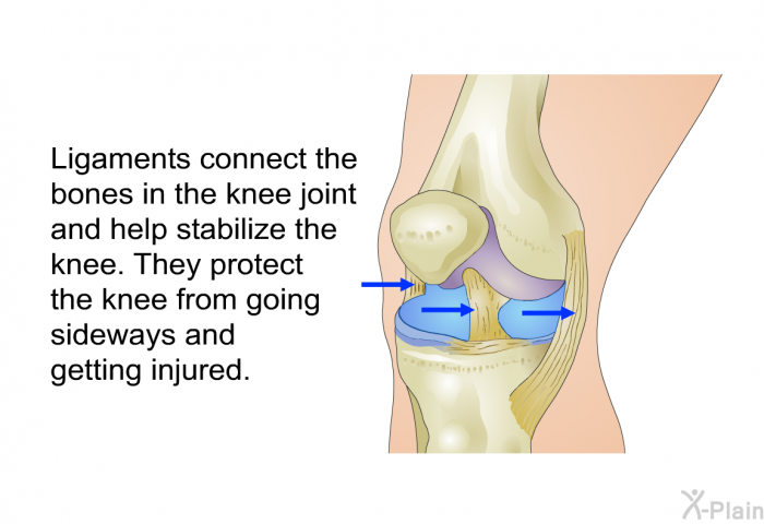 Ligaments connect the bones in the knee joint and help stabilize the knee. They protect the knee from going sideways and getting injured.