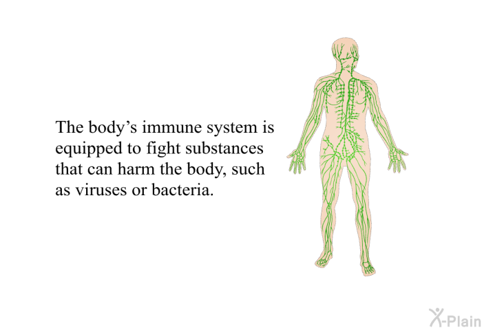 The body's immune system is equipped to fight substances that can harm the body, such as viruses or bacteria.