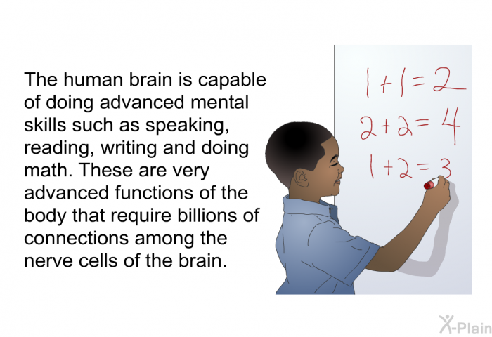 The human brain is capable of doing advanced mental skills such as speaking, reading, writing and doing math. These are very advanced functions of the body that require billions of connections among the nerve cells of the brain.