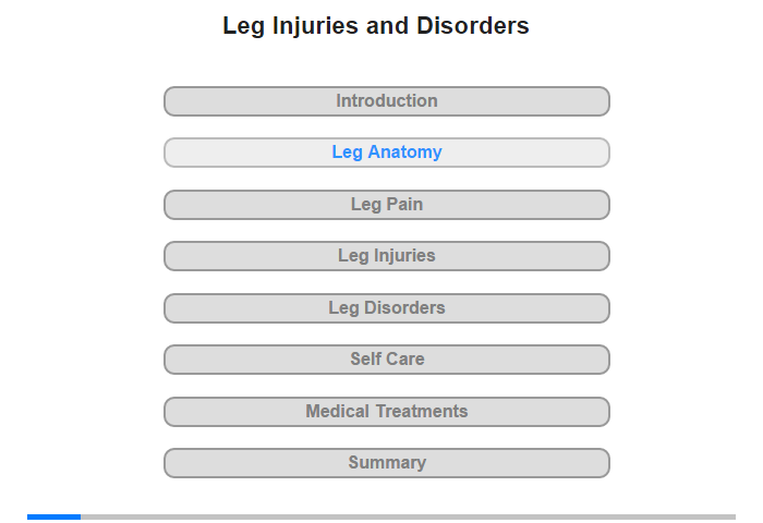 Anatomy of the Legs