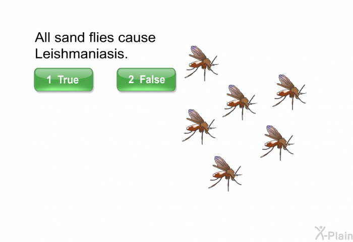 All sand flies cause Leishmaniasis.