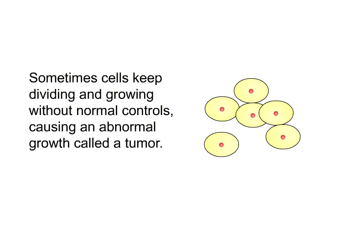 Sometimes cells keep dividing and growing without normal controls, causing an abnormal growth called a tumor.
