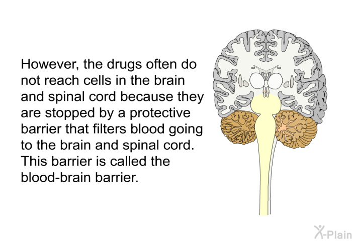 However, the drugs often do not reach cells in the brain and spinal cord because they are stopped by a protective barrier that filters blood going to the brain and spinal cord. This barrier is called the <I>blood-brain barrier</I>.