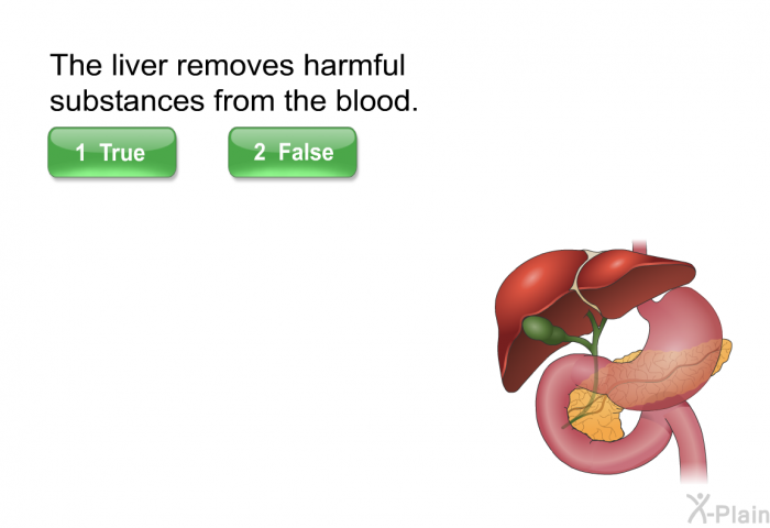 The liver removes harmful substances from the blood.