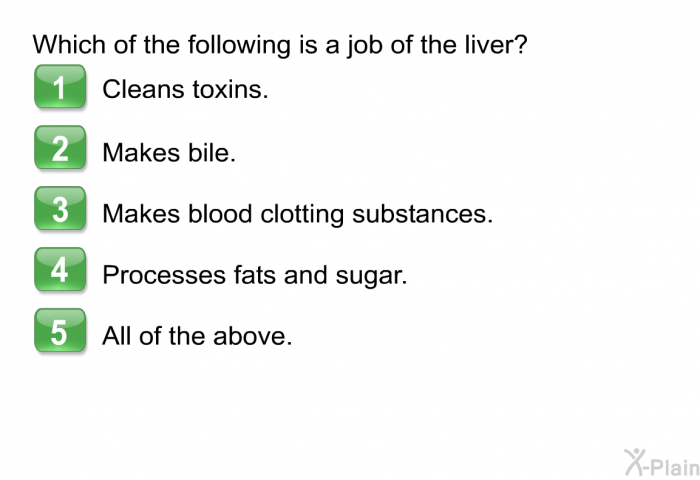 Which of the following is a job of the liver?  Cleans toxins. Makes bile. Makes blood clotting substances. Processes fats and sugar. All of the above.