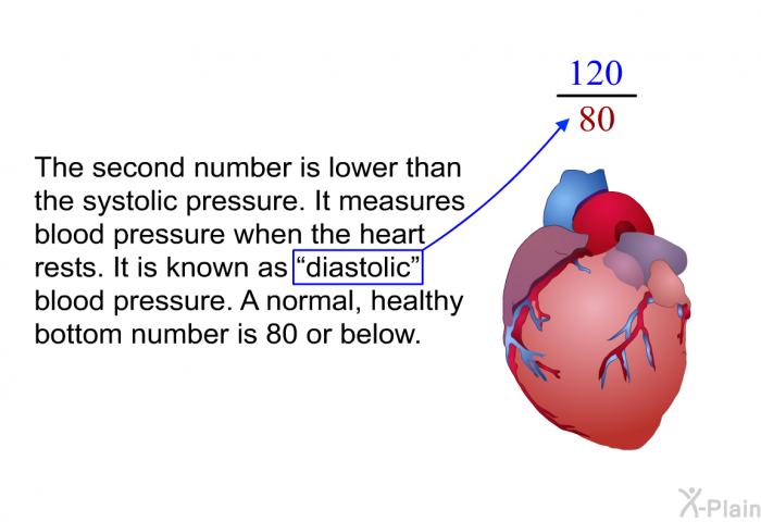 The second number is lower than the systolic pressure. It measures blood pressure when the heart rests. It is known as “diastolic” blood pressure. A normal, healthy bottom number is 80 or below.