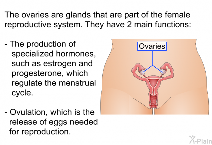 The ovaries are glands that are part of the female reproductive system. They have 2 main functions:  The production of specialized hormones, such as estrogen and progesterone, which regulate the menstrual cycle. Ovulation, which is the release of eggs needed for reproduction.