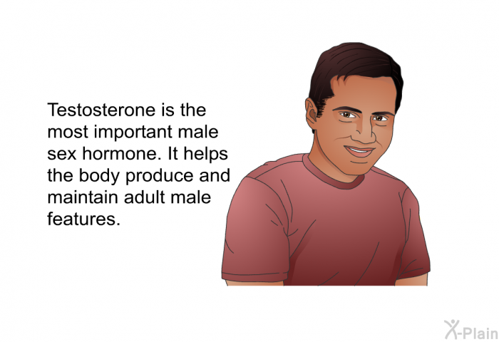 Testosterone is the most important male sex hormone. It helps the body produce and maintain adult male features.