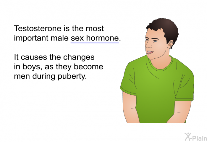 Testosterone is the most important male sex hormone. It causes the changes in boys, as they become men during puberty.